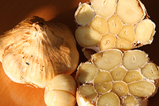 Der geräucherte Knoblauch im Querschnitt mit seinen Goldgelben Knoblauchzehen. 